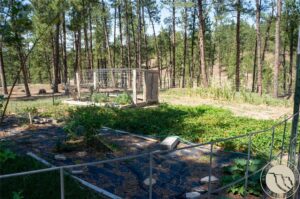 448 W Parrot Creek, Roundup, MT photo 7