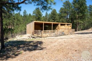 448 W Parrot Creek, Roundup, MT photo 8