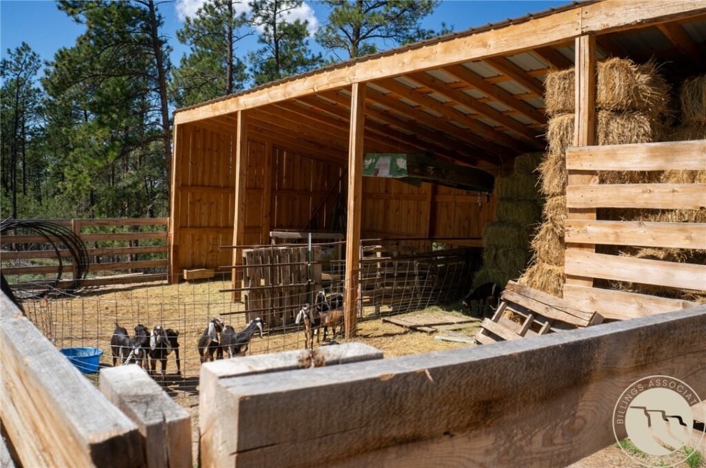 448 W Parrot Creek, Roundup, MT photo 9