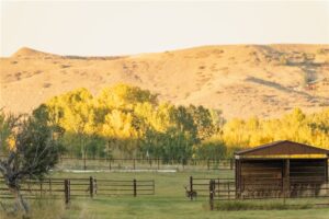 104 Running River Way, Absarokee, MT photo 4