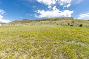 3832 Dylan Drive, Billings, MT photo 8
