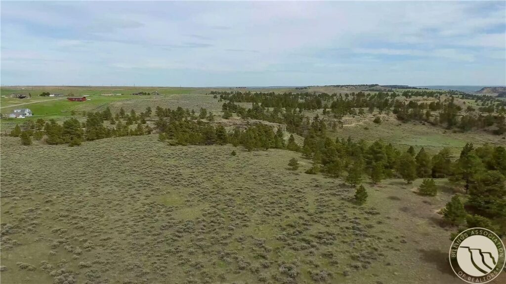 15A1 Land Rush Lane Lane, Billings, MT photo 4