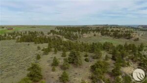 15A1 Land Rush Lane Lane, Billings, MT photo 5