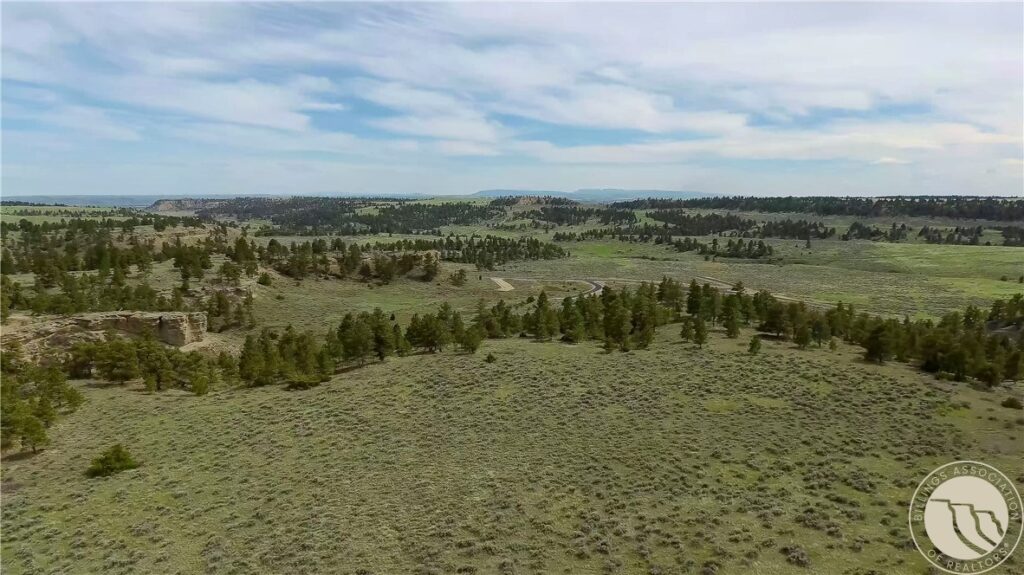 15A1 Land Rush Lane Lane, Billings, MT photo 6