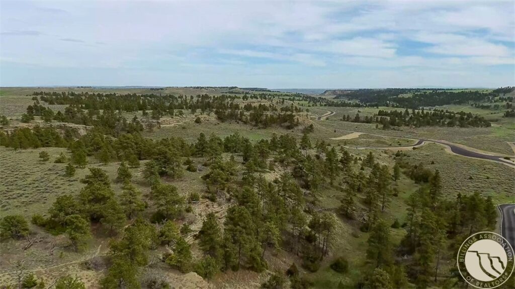 15A1 Land Rush Lane Lane, Billings, MT photo 7