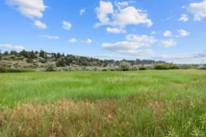 Lot D Alkali Creek Road, Billings, MT photo 3