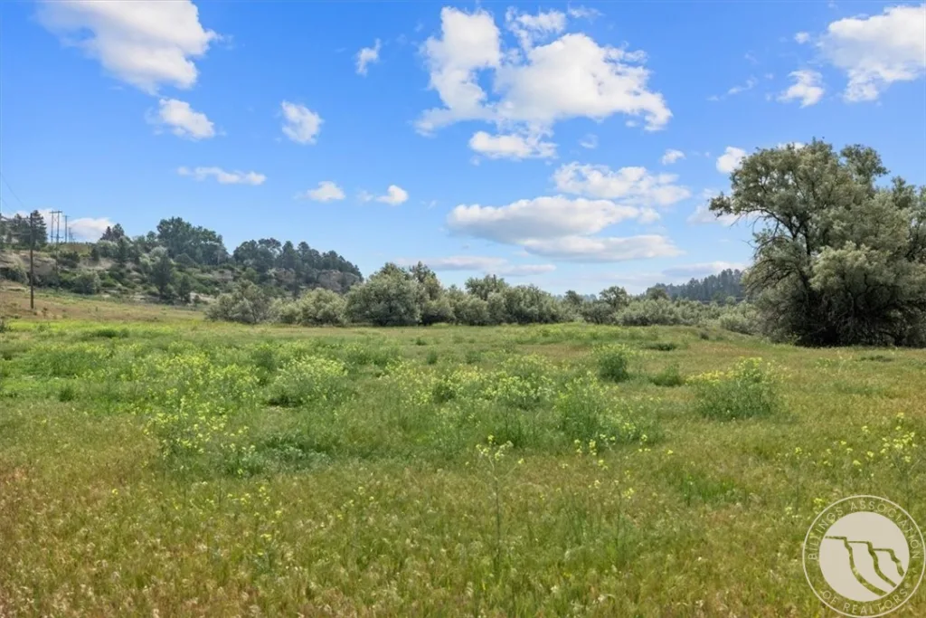Lot C Alkali Creek Road, Billings, MT