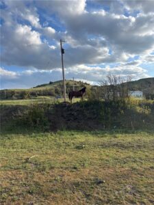 2503 Blue Creek Road, Billings, MT photo 4