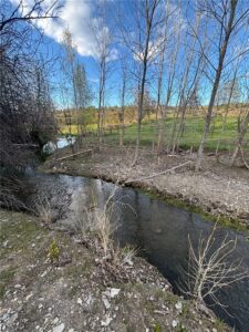 2503 Blue Creek Road, Billings, MT photo 9