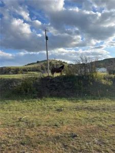 0 Blue Creek Road, Billings, MT photo 2