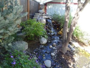 2523 11th Avenue N, Billings, MT photo 3