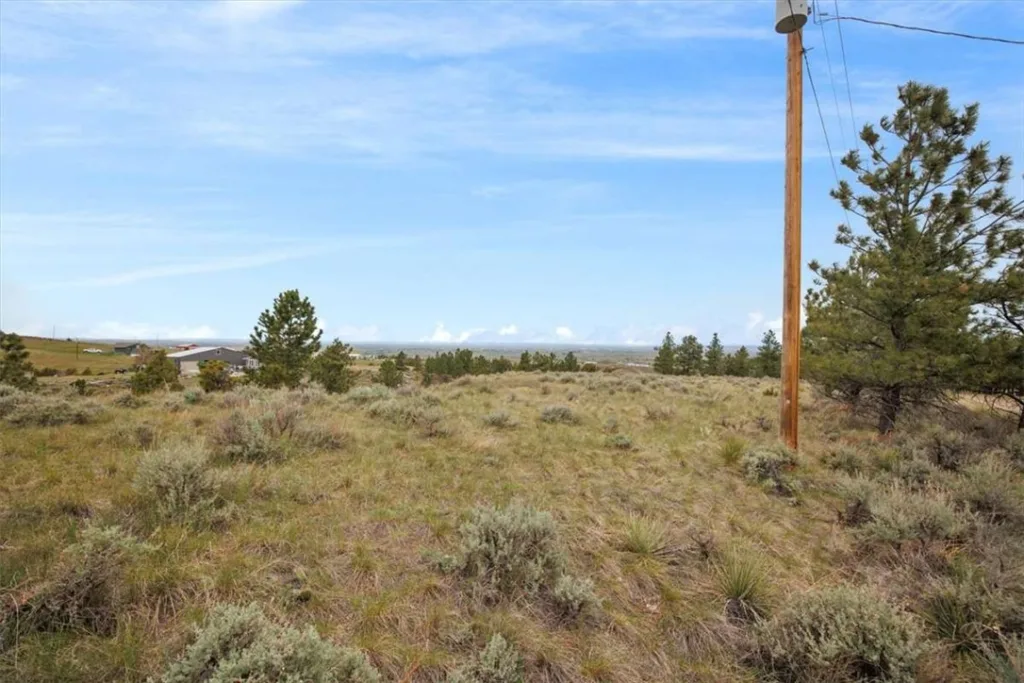 6853 Shooters Bluff Trail, Billings, MT photo 5