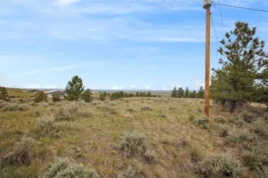 6853 Shooters Bluff Trail, Billings, MT photo 5