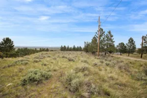 6853 Shooters Bluff Trail, Billings, MT photo 6
