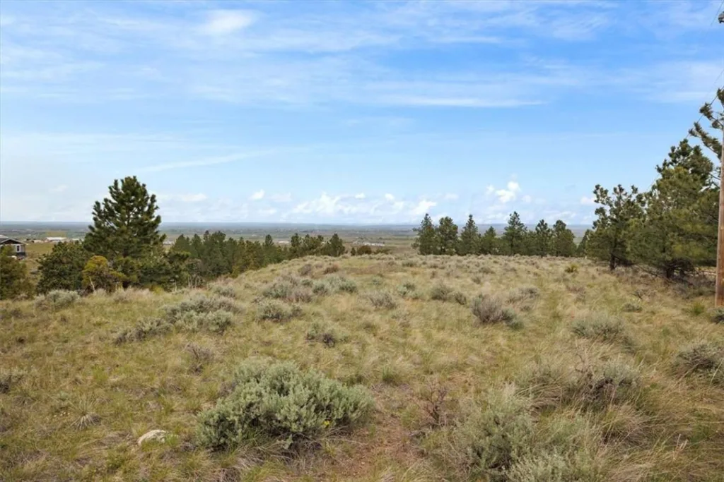 6853 Shooters Bluff Trail, Billings, MT photo 7