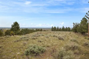 6853 Shooters Bluff Trail, Billings, MT photo 7