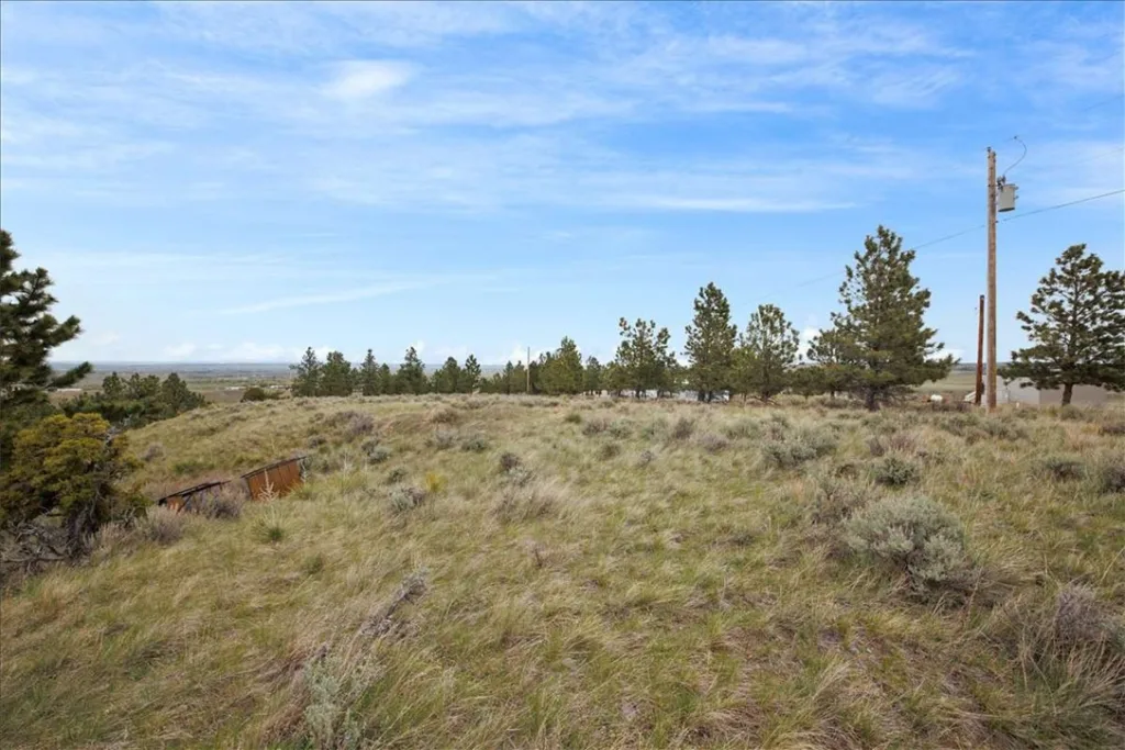 6853 Shooters Bluff Trail, Billings, MT photo 8