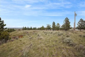 6853 Shooters Bluff Trail, Billings, MT photo 8