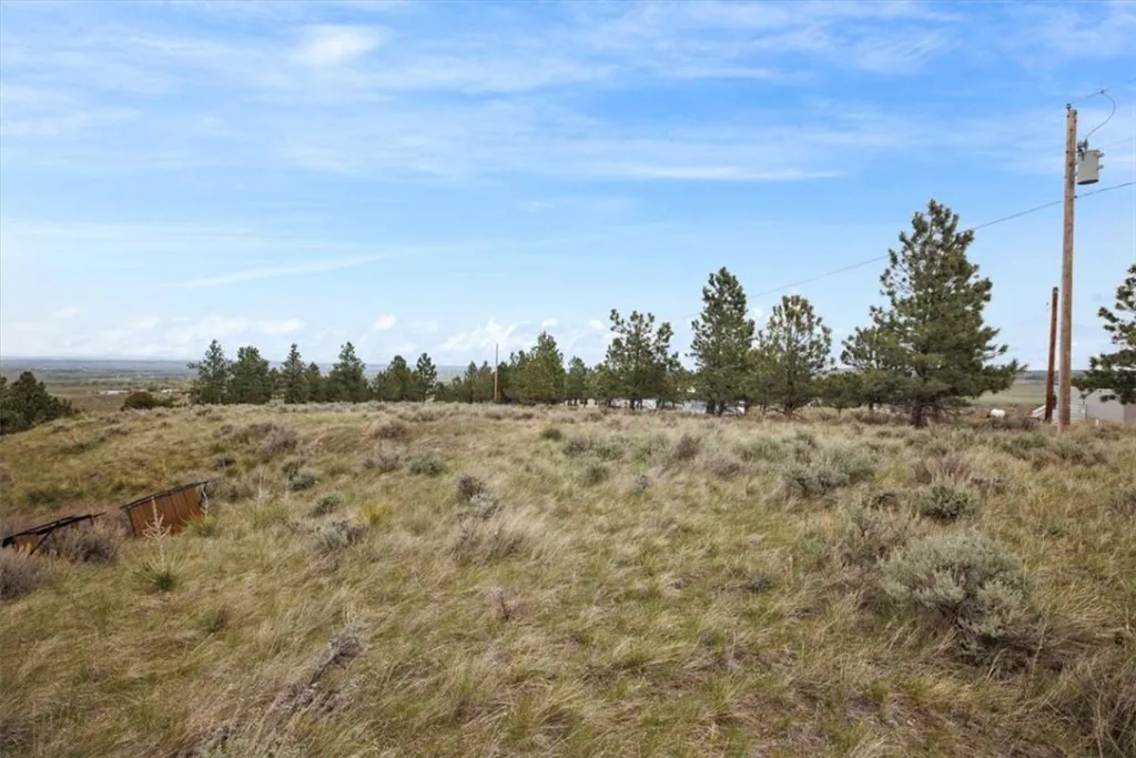 6853 Shooters Bluff Trail, Billings, MT photo 9