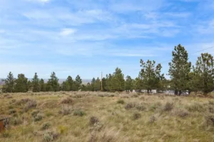 6853 Shooters Bluff Trail, Billings, MT photo 10