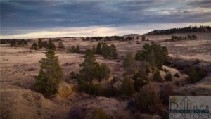 Lot 2 Block 1 W Montrose Road, Billings, MT photo 7