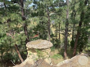 Lot 35 Valley Heights Road, Billings, MT photo 4