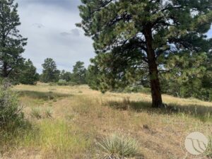 Lot 35 Valley Heights Road, Billings, MT photo 7
