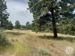 Lot 35 Valley Heights Road, Billings, MT photo 7
