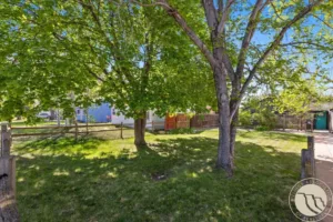1240 Parkhill Drive, Billings, MT photo 4