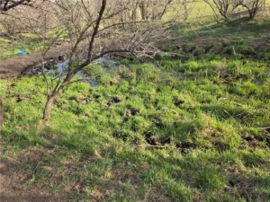 00 Lake Elmo Road, Billings, MT photo 3