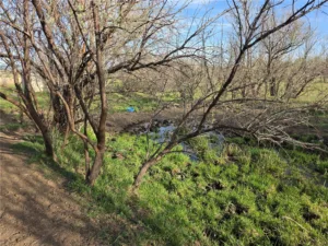 00 Lake Elmo Road, Billings, MT photo 5
