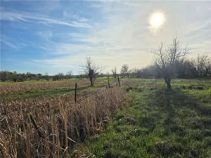 00 Lake Elmo Road, Billings, MT photo 8