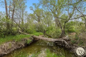 3344 Aqui Esta Drive, Billings, MT photo 4
