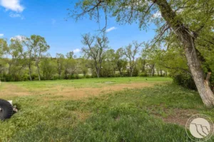 3344 Aqui Esta Drive, Billings, MT photo 5