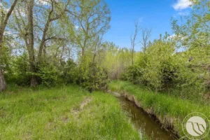 3344 Aqui Esta Drive, Billings, MT photo 6