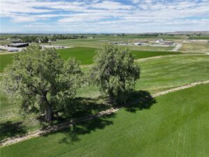 2803 72nd St W, Billings, MT photo 6