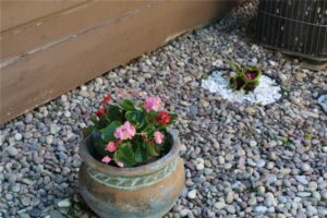 3400 Canyon Drive 3E, Billings, MT photo 3