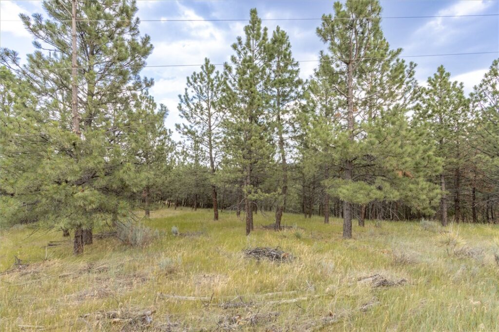 00 Indian Ridge Road, Billings, MT